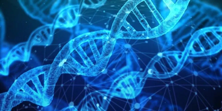 dna, genetic material, sveikata