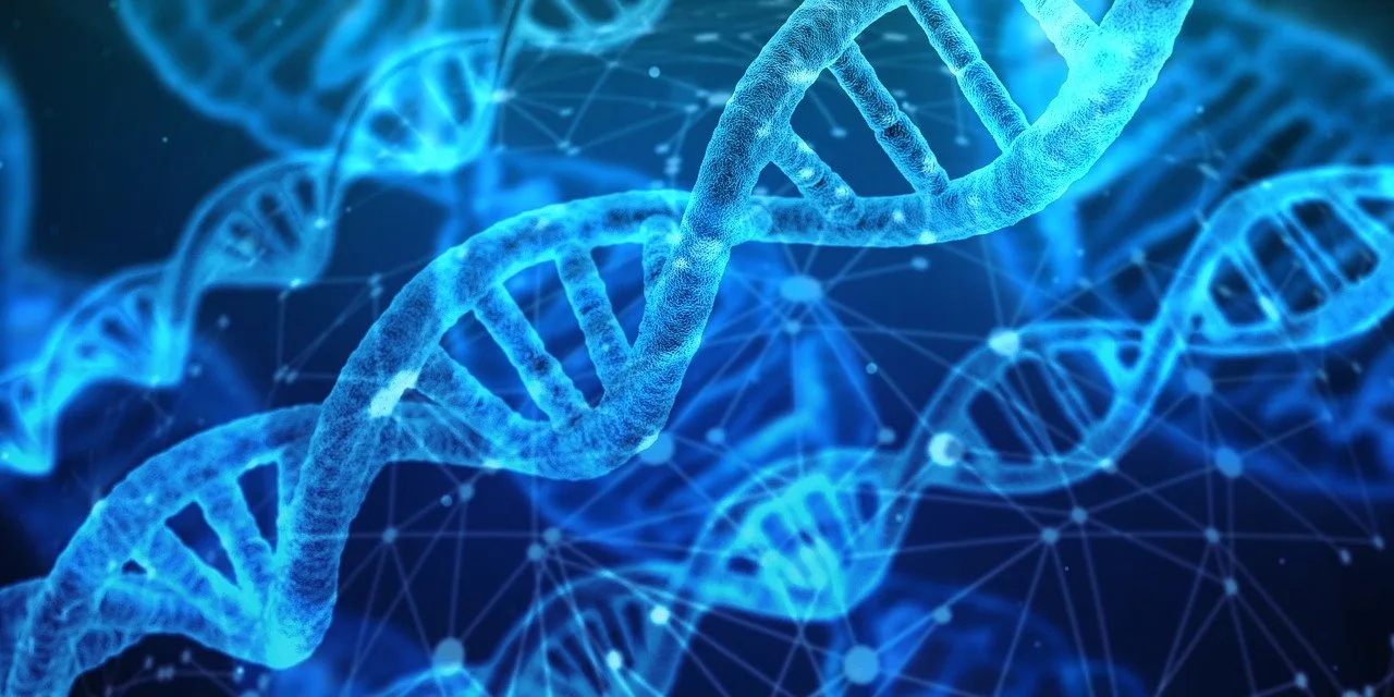 dna, genetic material, sveikata